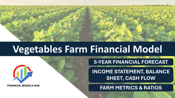 Vegetables Farming Financial Model