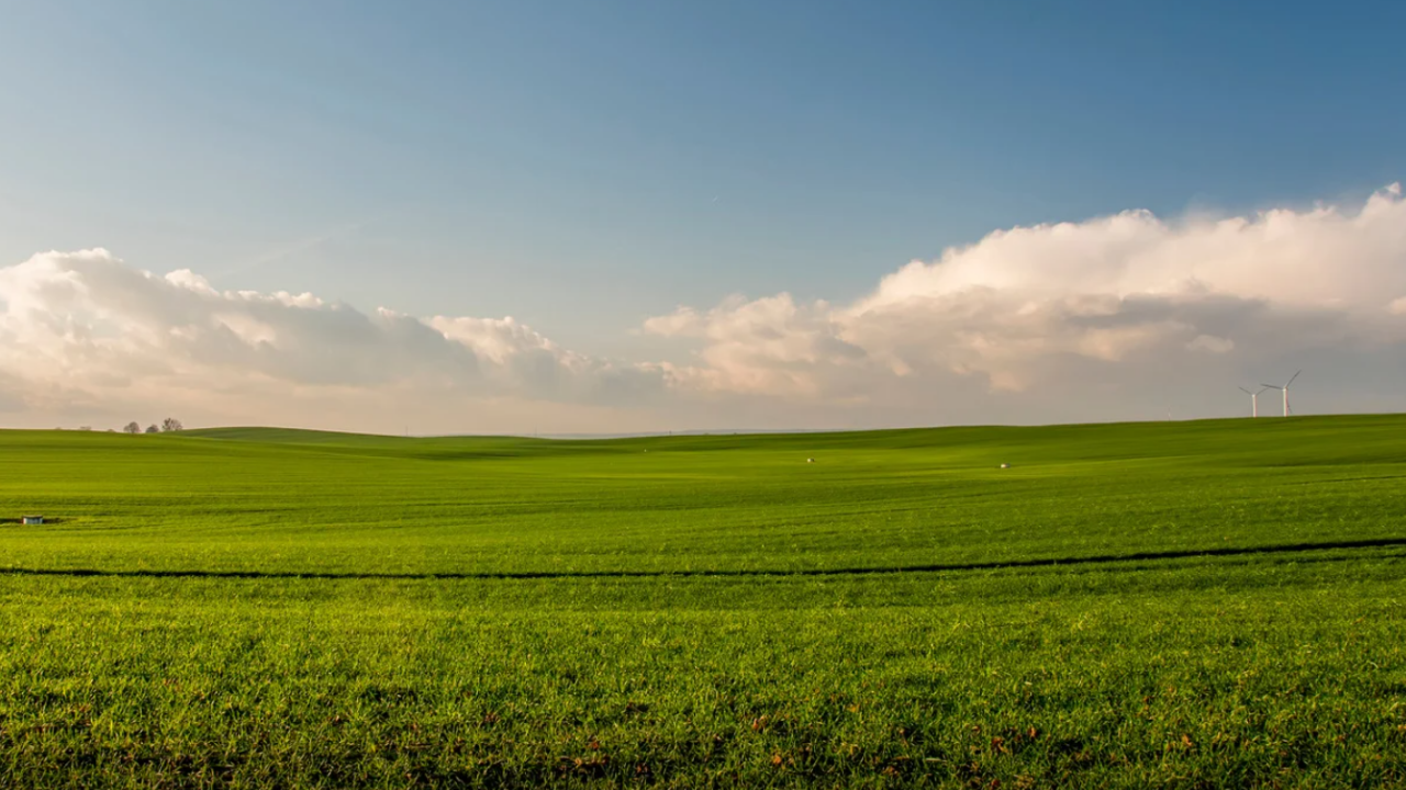 farm financial model