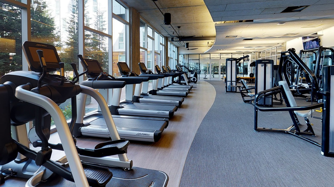 gym financial