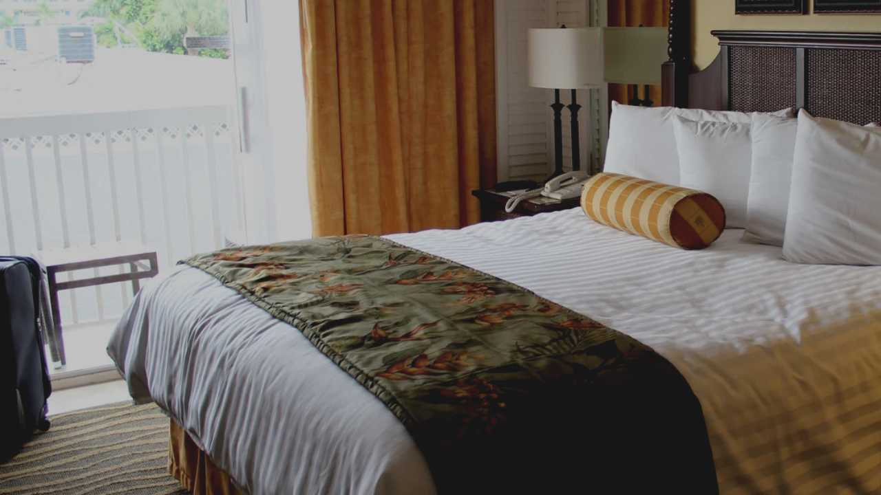hotel bookings